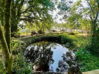 Gin Creek Plantation - 3-Star