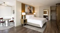 Hotel Indigo FRISCO by IHG - Pet Friendly