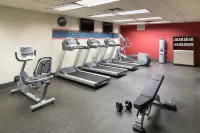 Hampton Inn & Suites Atlanta-Downtown - pet friendly