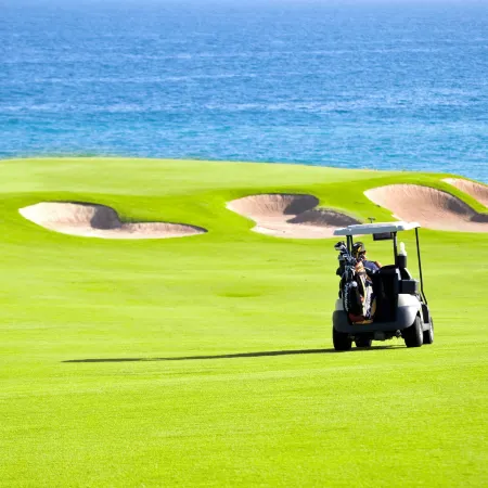 JW Marriott Los Cabos Beach Resort & Spa
