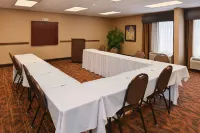 Hampton Inn Carbondale - Parkering