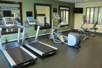 Hampton Inn Indianapolis NW/Zionsville - Gym