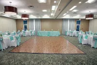 Hilton Garden Inn Tampa - Wesley Chapel - Завтрак