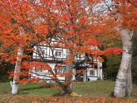 Pension VindeRouge - 2-Star