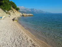 Ružica