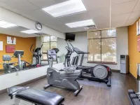 Comfort Suites Pflugerville - Austin North Hotels in Pflugerville