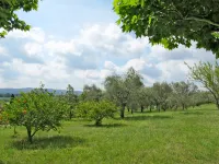 Mas de l'Adrech Hotels in Fayence