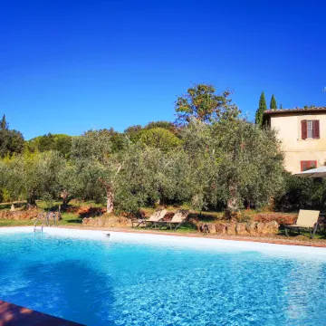 Il Nespolo