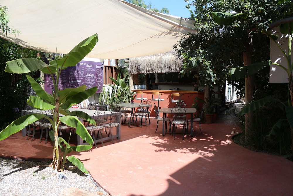 Yucca Alaçatı