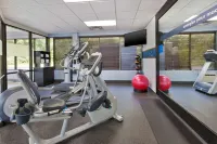 Hampton Inn Columbus/Delaware I-71 North - gimnasio
