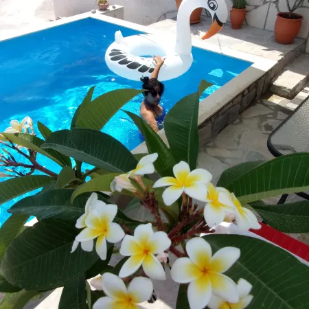 45m2 Apartment on the Ground Floor with Terrace and Private Pool on the Terrace.