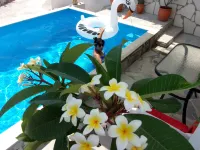 45m2 Apartment on the Ground Floor with Terrace and Private Pool on the Terrace. - Pools