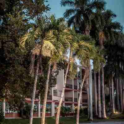 The Suites at Chichen Itzá Hotel Exterior