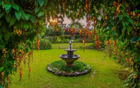 Kebun Mawar Situhapa