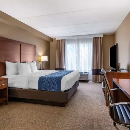 Comfort Inn & Suites Orlando North