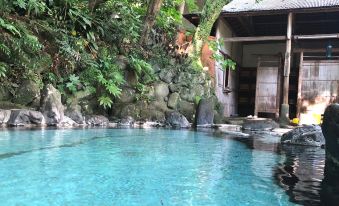 Yugawara Onsen Izuya Ryokan a Healing Hot Spring