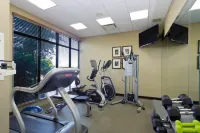 Holiday Inn & Suites PHOENIX AIRPORT by IHG - palestra