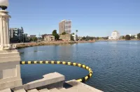 Americas Best Value Inn Oakland