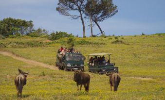 Kragga Kamma Game Park