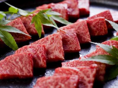 料理 つるつるの湯 下呂温泉 みのり荘の写真