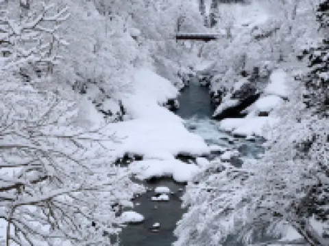 逆巻温泉 川津屋 津南町のホテル