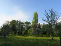 Casa del Ligustro
