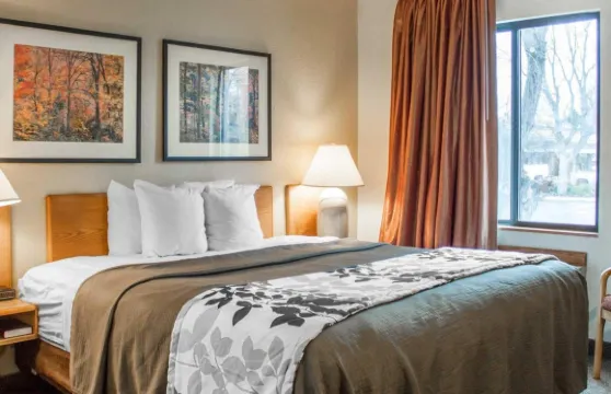 機場羅德威酒店