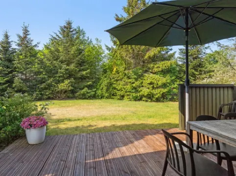 "Winter" - 500m from the Sea