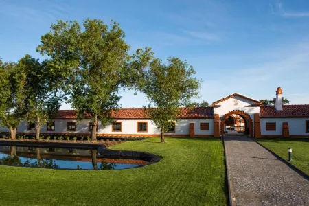 Vila Gale Collection Alter Real - Resort Equestre, Conference & Spa Отели в г. Alter do Chao