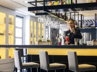 Mercure Bilbao Jardines de Albia - bar
