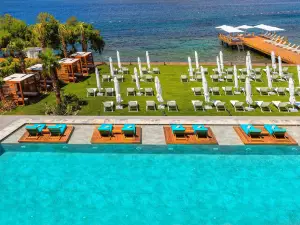 Arts Hotel Bodrum Yalikavak
