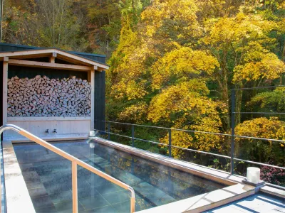 Tateshina Shinyu Onsen Hotels in 