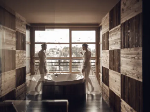 阿爾皮納多洛米蒂酒店