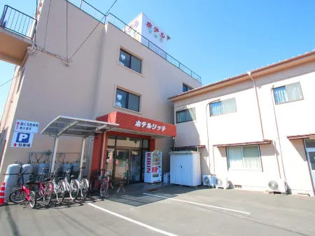 Business Hotel Rich Отели рядом со станцией JR Obi station