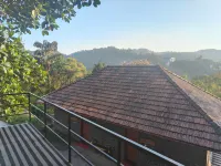 The Wild Trails Clarks Exotica , Munnar