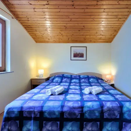Ruža 1