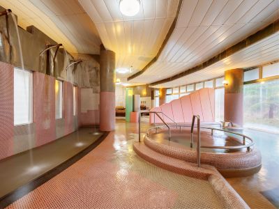 スパ・大浴場 白神山地　ホテルゆとりあ藤里の写真