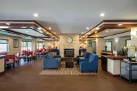 컴포트 스위트 노스 댈러스