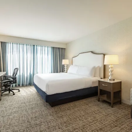 Embassy Suites by Hilton Philadelphia Valley Forge