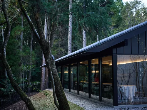 Forest Inn Born