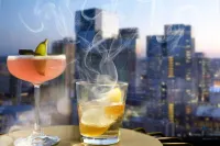 Sheraton Grand Nashville Downtown - Barer