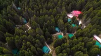 Karinna Forest Houses Hotels in Kestel