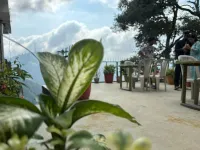 Zu-Zu Hostels Hotels in 