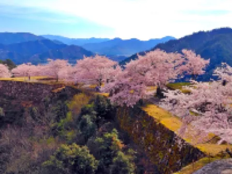 Ryokan Kozyo Hotels in Yabu