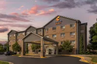 Comfort Suites Keeneland - 2 estrellas