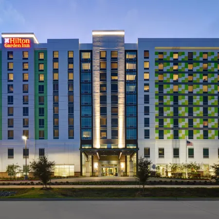 Hilton Garden Inn Houston Medical Center, TX Отели рядом с достопримечательностью «Менил Коллекшен»