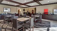 Comfort Inn & Suites Morgan - Wifi