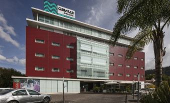 Gamma Morelia Belo