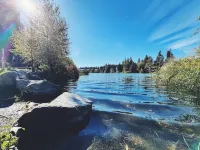 Classic Charm Meets Modern Comfort Home Hotels in Shoreline