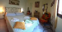 CALA GONONE A DREAM HOLIDAY TWO STEPS FROM THE SEA IN THE PARADISE OF SARDINIA